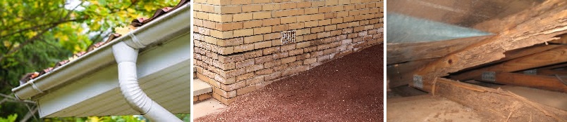 Building Inspection - Hidden defects