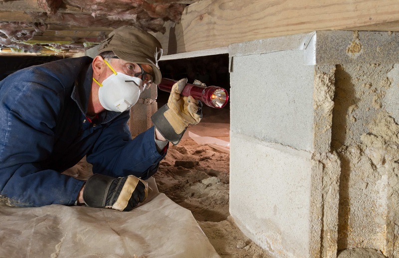 Building & Pest Inspections