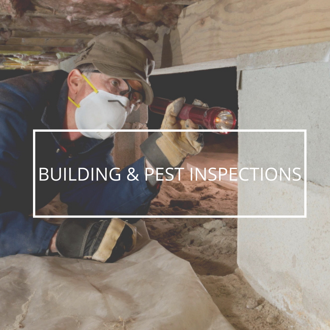 Strata Reports and Building and Pest Reports for Property Sellers