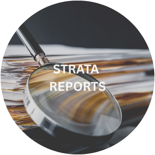 Strata Reports